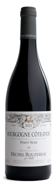 PinotNoir_1000_ok PinotNoir_1000_ok